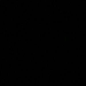 Meet your Posher, Joni